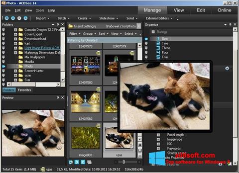 Ảnh chụp màn hình ACDSee Photo Manager cho Windows 8