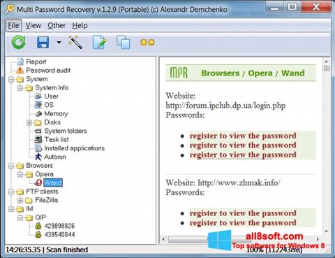 Ảnh chụp màn hình Multi Password Recovery cho Windows 8