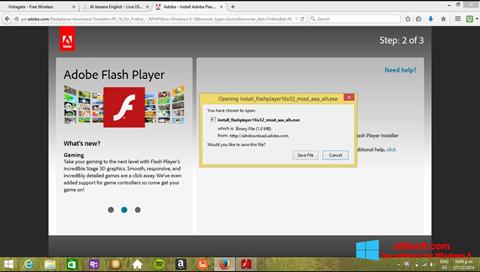Ảnh chụp màn hình Adobe Flash Player cho Windows 8