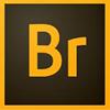 Adobe Bridge cho Windows 8